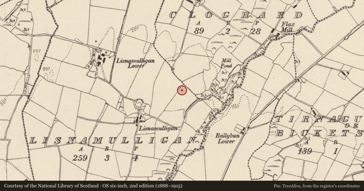 Ordnance Survey six-inch map, 2nd edition (1888–1915) covering the location of Ringfort - unclassified, Lisnamulligan, County Donegal, with a pin at the register's coordinates