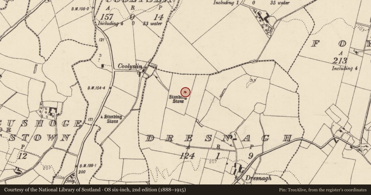Ordnance Survey six-inch map, 2nd edition (1888–1915) covering the location of Standing stone, Dresnagh, County Donegal, with a pin at the register's coordinates