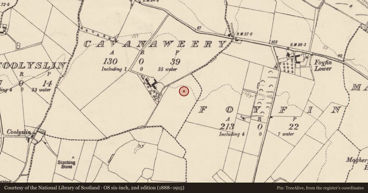 Ordnance Survey six-inch map, 2nd edition (1888–1915) covering the location of Enclosure, Cavanaweery, County Donegal, with a pin at the register's coordinates