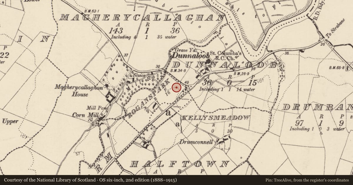 Ordnance Survey six-inch map, 2nd edition (1888–1915) covering the location of Standing stone, Roganspark, County Donegal, with a pin at the register's coordinates