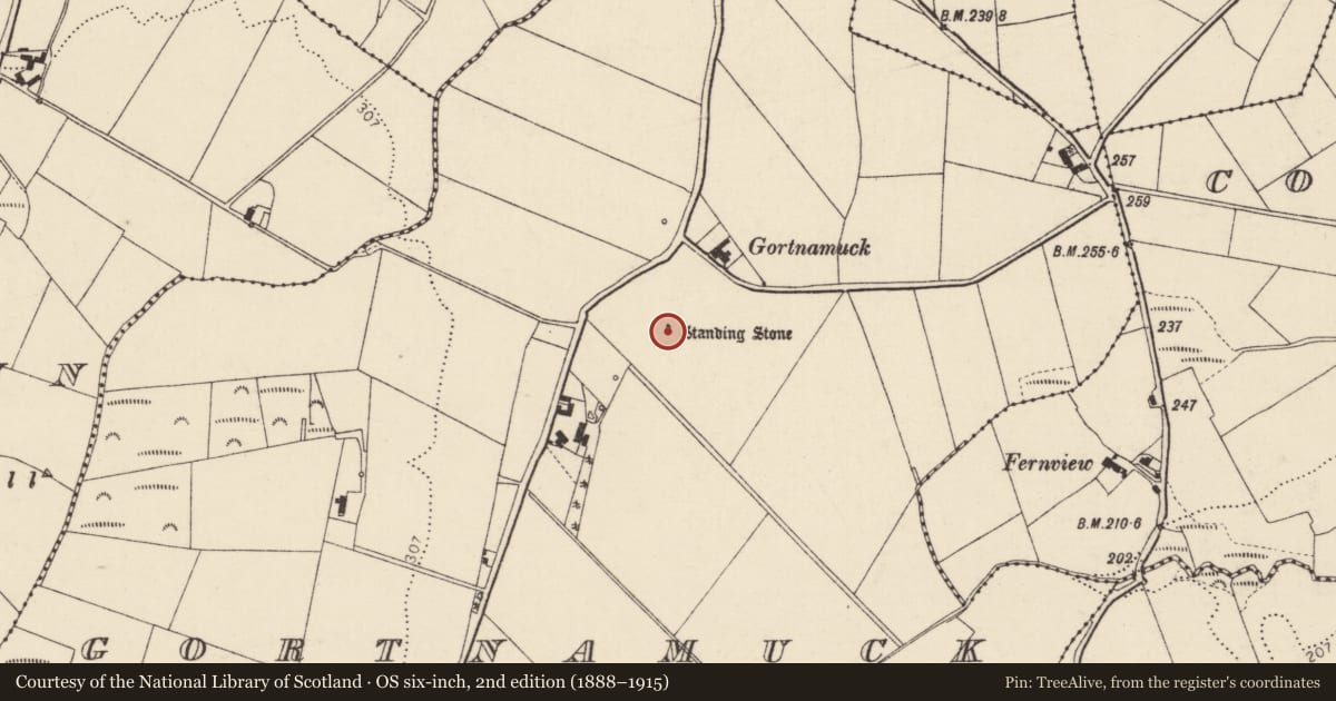 Ordnance Survey six-inch map, 2nd edition (1888–1915) covering the location of Standing stone, Gortnamuck, County Donegal, with a pin at the register's coordinates