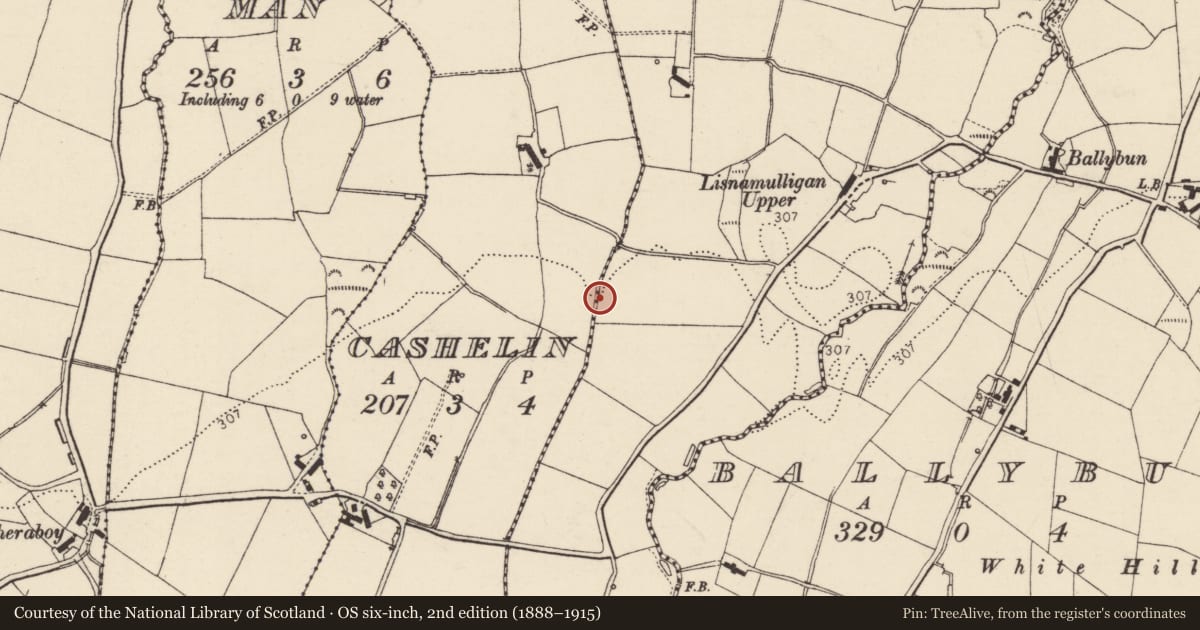 Ordnance Survey six-inch map, 2nd edition (1888–1915) covering the location of Cist, Lisnamulligan, County Donegal, with a pin at the register's coordinates