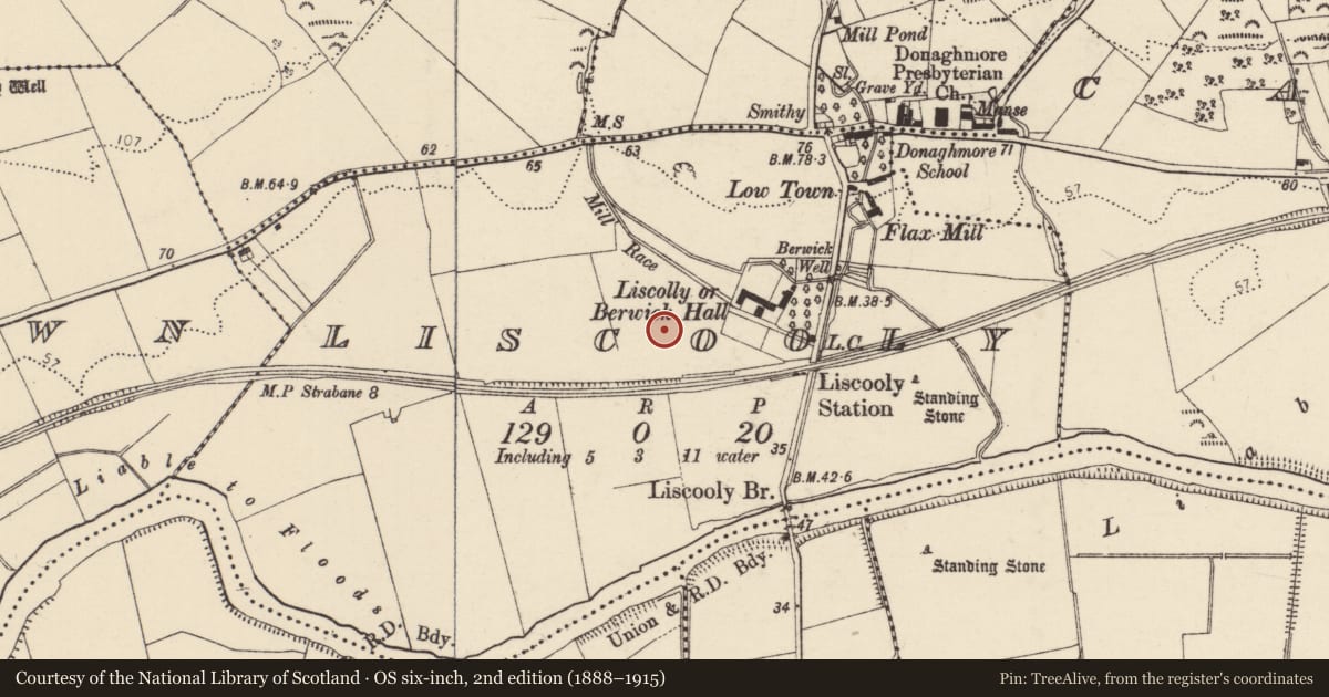 Ordnance Survey six-inch map, 2nd edition (1888–1915) covering the location of Cist, Liscooly, County Donegal, with a pin at the register's coordinates