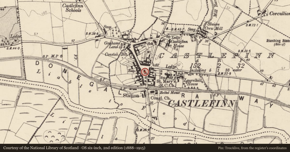 Ordnance Survey six-inch map, 2nd edition (1888–1915) covering the location of Historic town, Castlefinn, County Donegal, with a pin at the register's coordinates