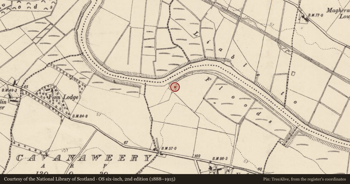 Ordnance Survey six-inch map, 2nd edition (1888–1915) covering the location of Quarry, Foyfin, County Donegal, with a pin at the register's coordinates
