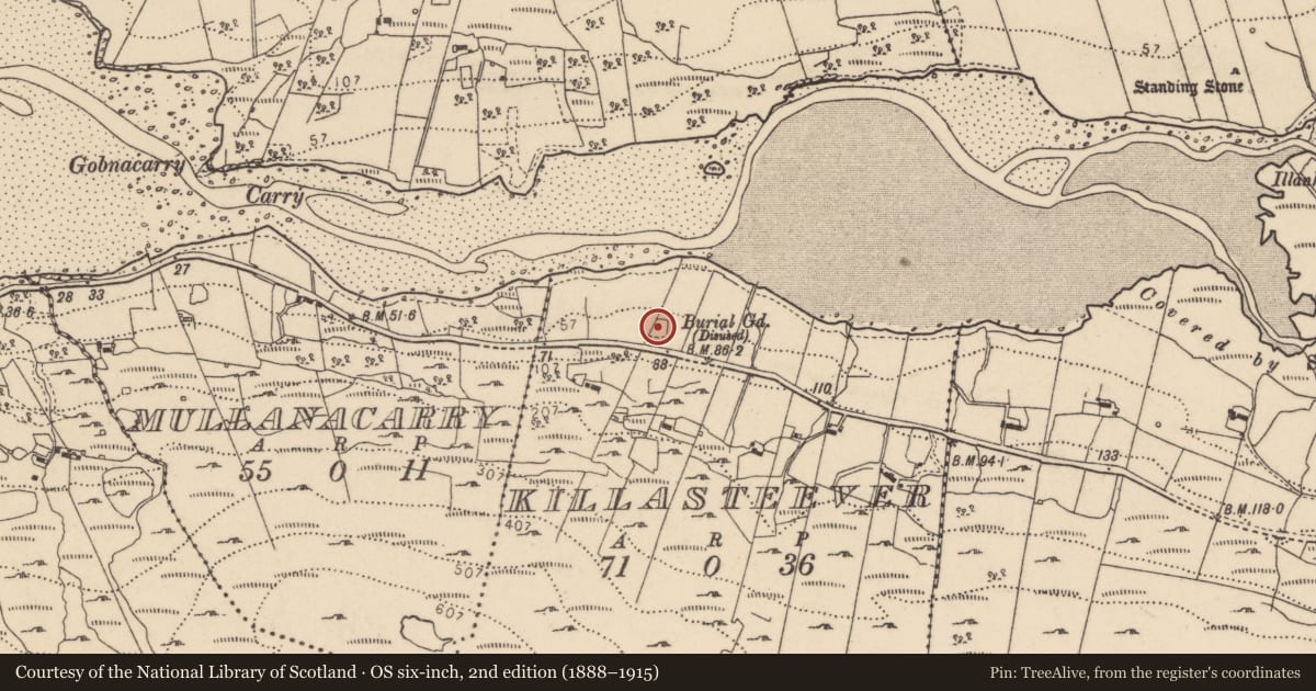 Ordnance Survey six-inch map, 2nd edition (1888–1915) covering the location of Burial ground, Killasteever, County Donegal, with a pin at the register's coordinates