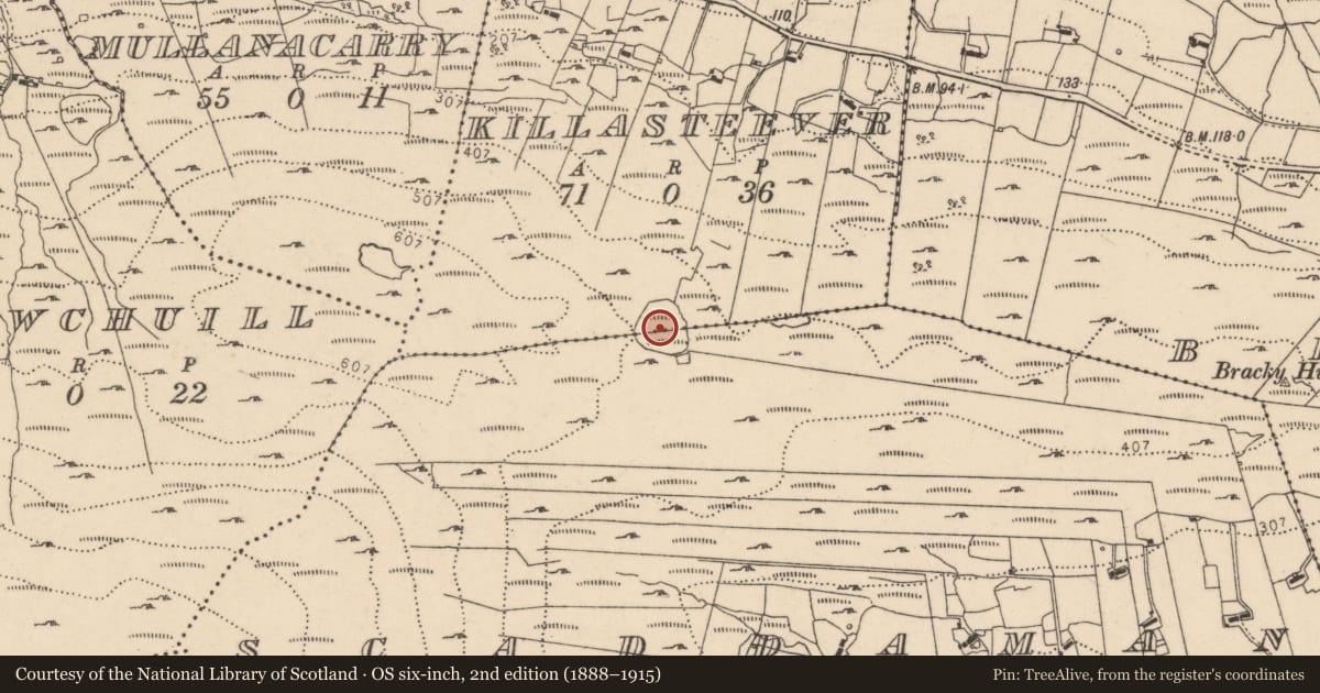 Ordnance Survey six-inch map, 2nd edition (1888–1915) covering the location of Enclosure, Killasteever, Sceadamán, County Donegal, with a pin at the register's coordinates