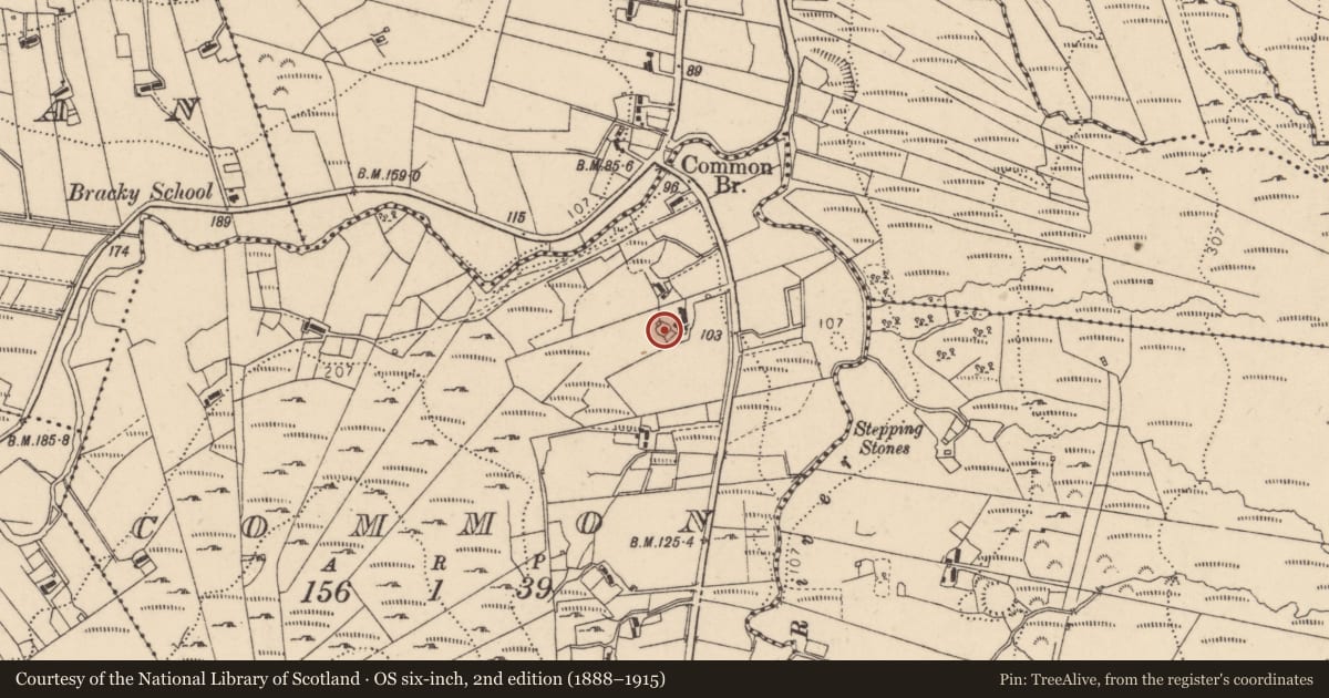 Ordnance Survey six-inch map, 2nd edition (1888–1915) covering the location of Ringfort - cashel, Common, County Donegal, with a pin at the register's coordinates