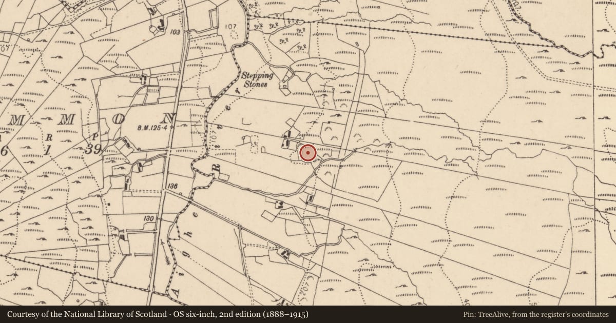 Ordnance Survey six-inch map, 2nd edition (1888–1915) covering the location of Ringfort - cashel, An Caiseal (TC Maol Mosóg), County Donegal, with a pin at the register's coordinates