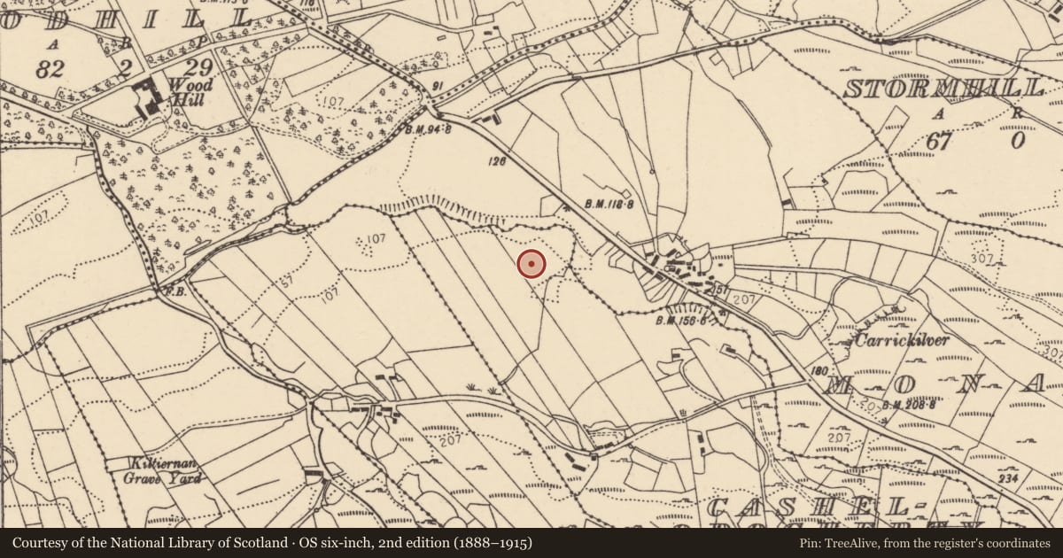 Ordnance Survey six-inch map, 2nd edition (1888–1915) covering the location of Ringfort - cashel, Cashelodogherty, County Donegal, with a pin at the register's coordinates