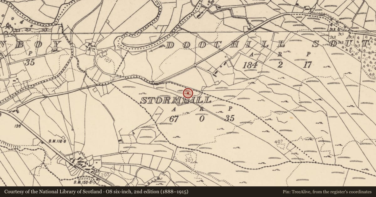 Ordnance Survey six-inch map, 2nd edition (1888–1915) covering the location of Ringfort - cashel, Stormhill, County Donegal, with a pin at the register's coordinates