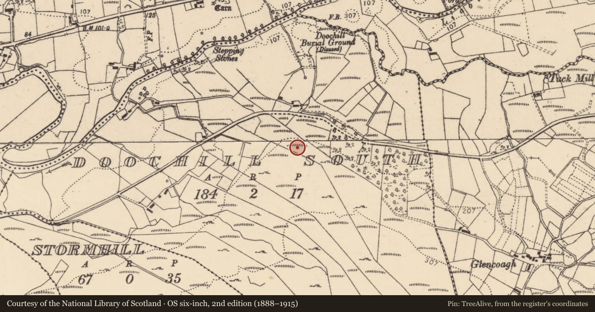 Ordnance Survey six-inch map, 2nd edition (1888–1915) covering the location of Ringfort - cashel, Doochill South, County Donegal, with a pin at the register's coordinates