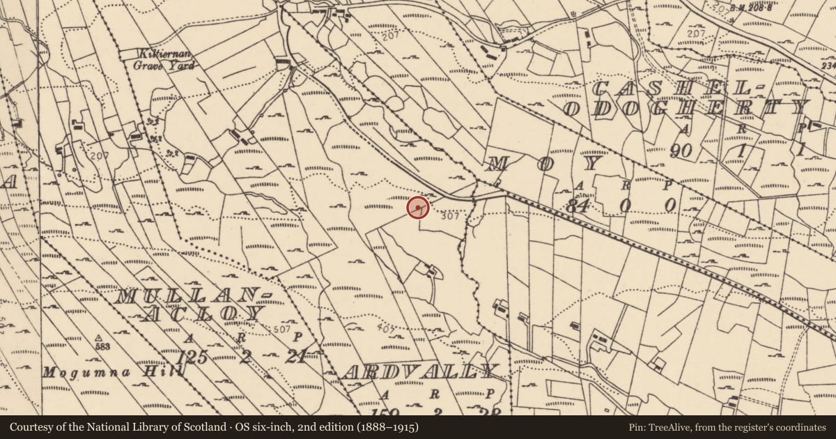 Ordnance Survey six-inch map, 2nd edition (1888–1915) covering the location of Ringfort - cashel, Ardvally, County Donegal, with a pin at the register's coordinates