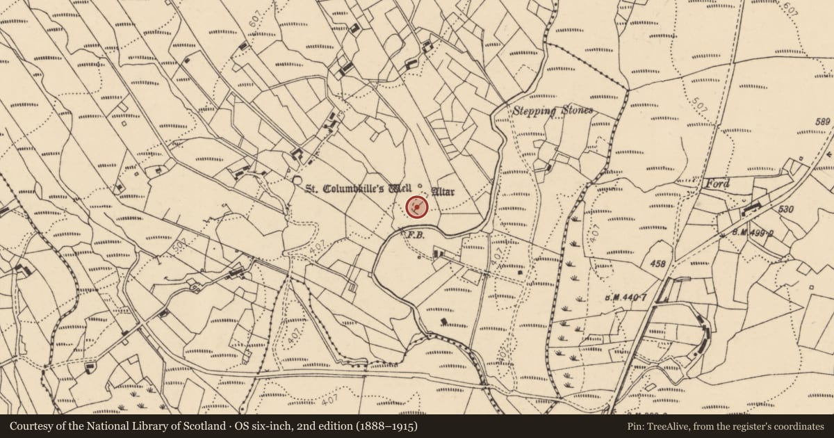 Ordnance Survey six-inch map, 2nd edition (1888–1915) covering the location of Graveyard, Disert, County Donegal, with a pin at the register's coordinates