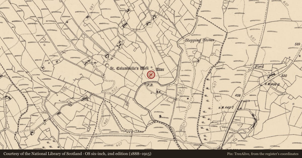 Ordnance Survey six-inch map, 2nd edition (1888–1915) covering the location of Penitential station, Disert, County Donegal, with a pin at the register's coordinates
