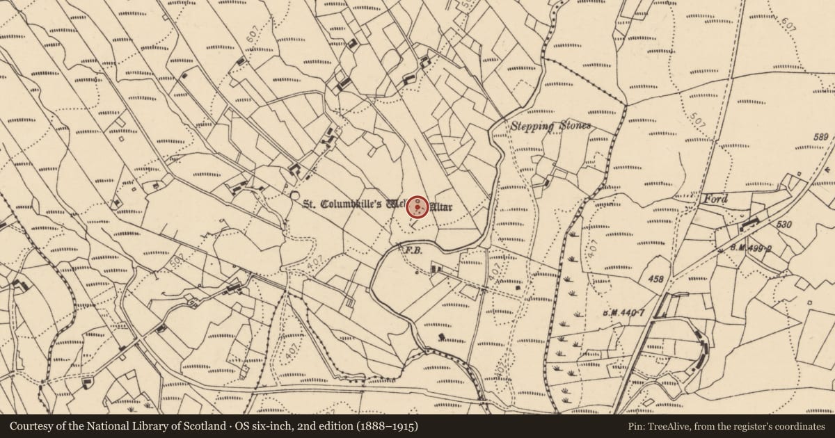 Ordnance Survey six-inch map, 2nd edition (1888–1915) covering the location of Penitential station, Disert, County Donegal, with a pin at the register's coordinates