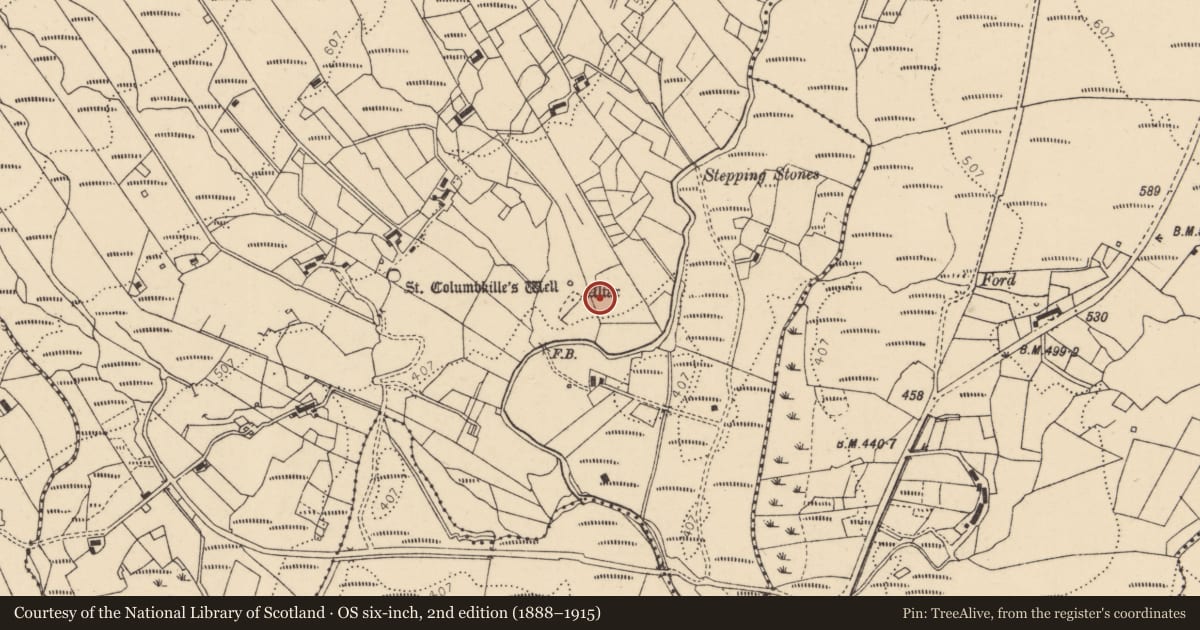 Ordnance Survey six-inch map, 2nd edition (1888–1915) covering the location of Enclosure, Disert, County Donegal, with a pin at the register's coordinates