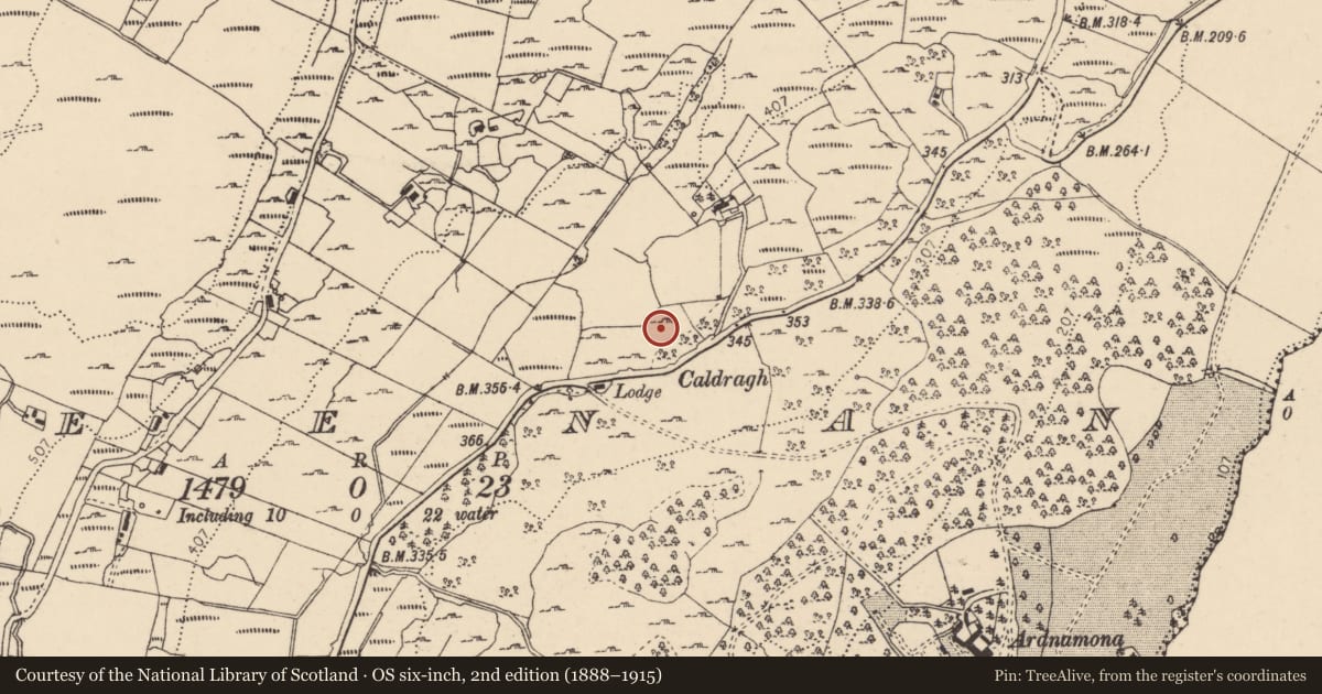 Ordnance Survey six-inch map, 2nd edition (1888–1915) covering the location of Children's burial ground, Greenan, County Donegal, with a pin at the register's coordinates