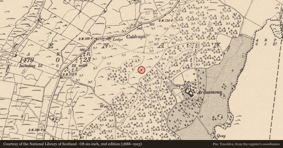 Ordnance Survey six-inch map, 2nd edition (1888–1915) covering the location of Hut site, Greenan, County Donegal, with a pin at the register's coordinates