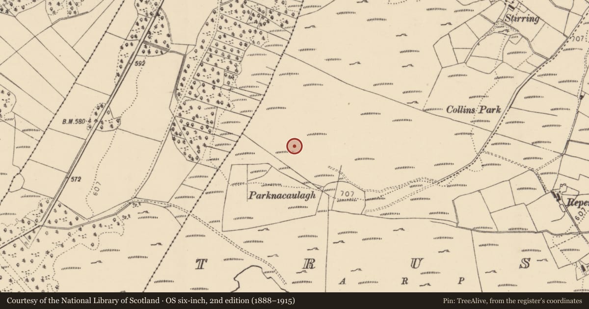 Ordnance Survey six-inch map, 2nd edition (1888–1915) covering the location of Enclosure, Trusk, County Donegal, with a pin at the register's coordinates