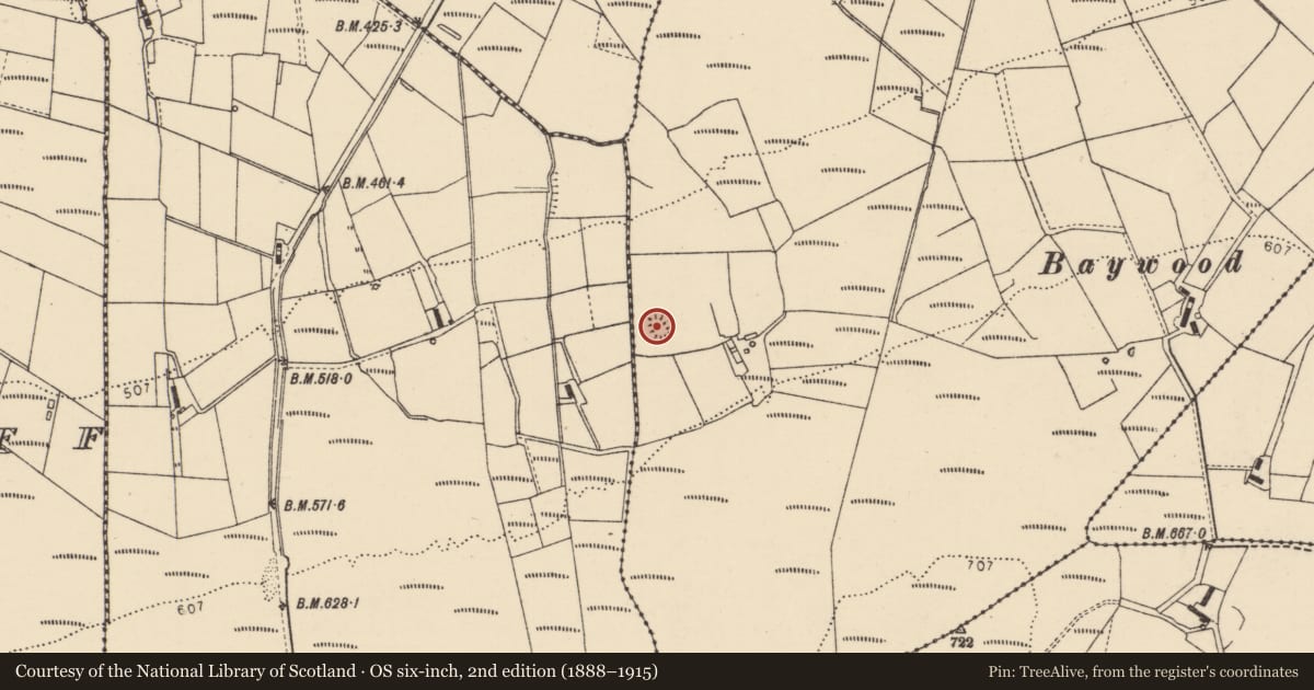 Ordnance Survey six-inch map, 2nd edition (1888–1915) covering the location of Ringfort - cashel, Mounthall, County Donegal, with a pin at the register's coordinates