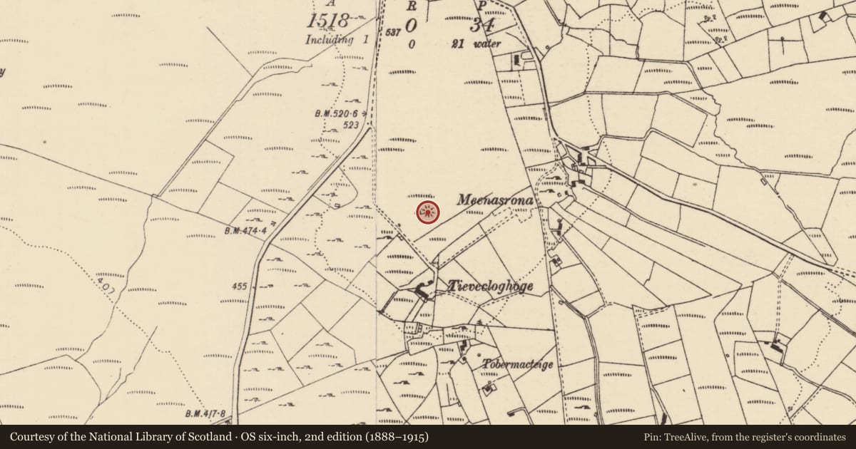 Ordnance Survey six-inch map, 2nd edition (1888–1915) covering the location of Ringfort - cashel, Tievecloghoge, County Donegal, with a pin at the register's coordinates