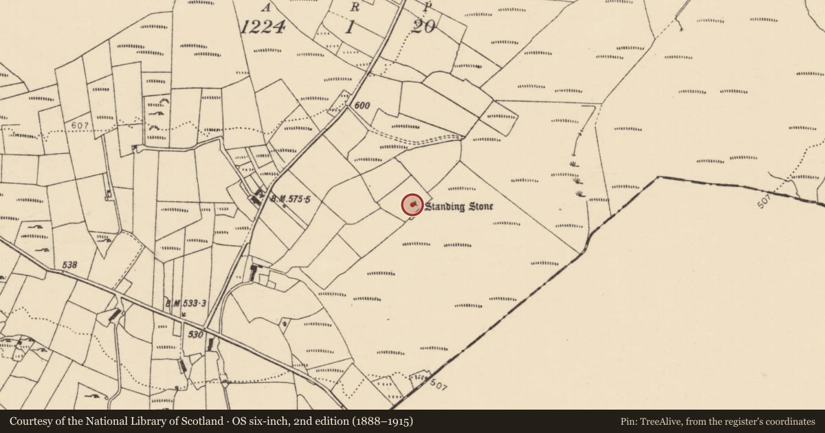 Ordnance Survey six-inch map, 2nd edition (1888–1915) covering the location of Standing stone, Cronalaghy, County Donegal, with a pin at the register's coordinates