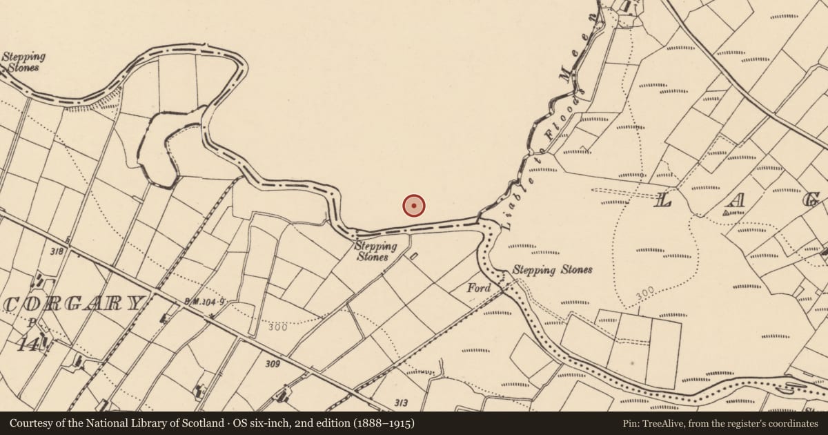 Ordnance Survey six-inch map, 2nd edition (1888–1915) covering the location of Penal Mass station, Meenagolan, County Donegal, with a pin at the register's coordinates