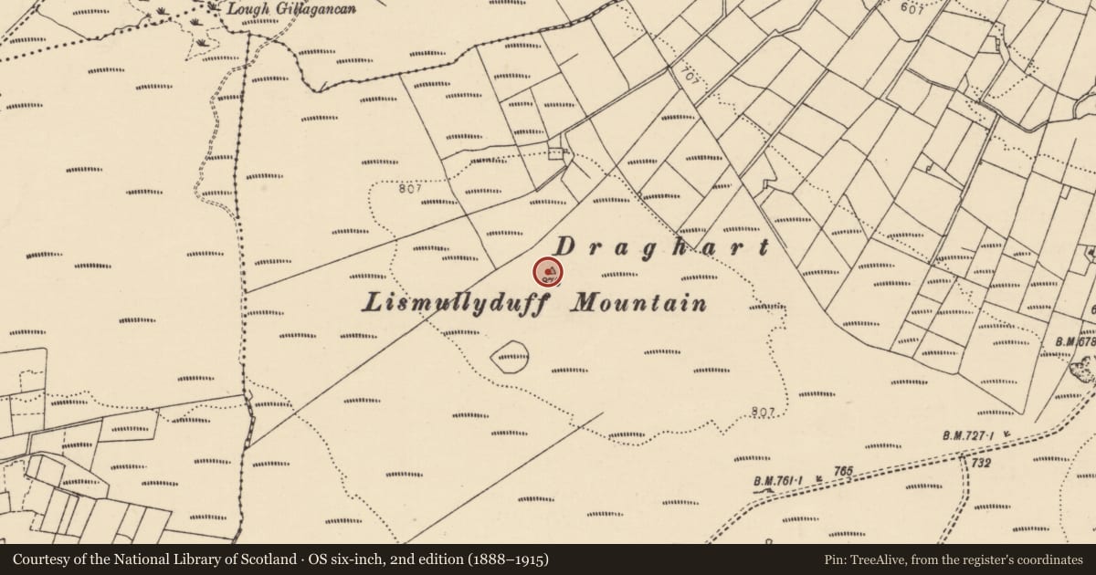 Ordnance Survey six-inch map, 2nd edition (1888–1915) covering the location of Cairn - unclassified, Lismullyduff, County Donegal, with a pin at the register's coordinates