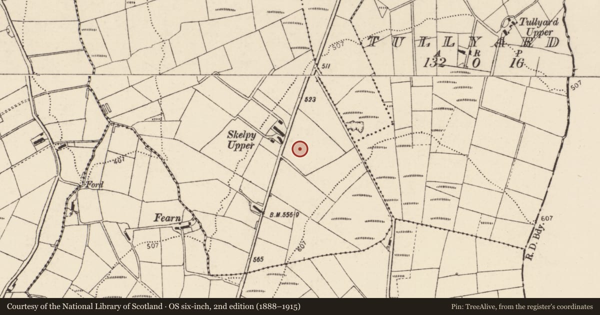 Ordnance Survey six-inch map, 2nd edition (1888–1915) covering the location of Standing stone, Skelpy, County Donegal, with a pin at the register's coordinates