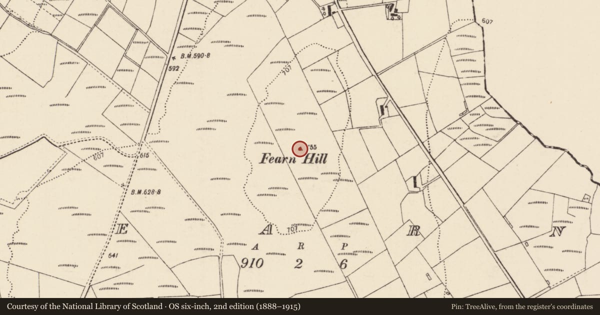 Ordnance Survey six-inch map, 2nd edition (1888–1915) covering the location of Ringfort - cashel, Fearn, County Donegal, with a pin at the register's coordinates