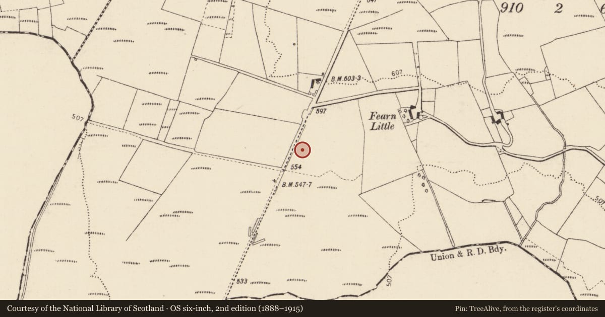 Ordnance Survey six-inch map, 2nd edition (1888–1915) covering the location of Standing stone, Fearn, County Donegal, with a pin at the register's coordinates