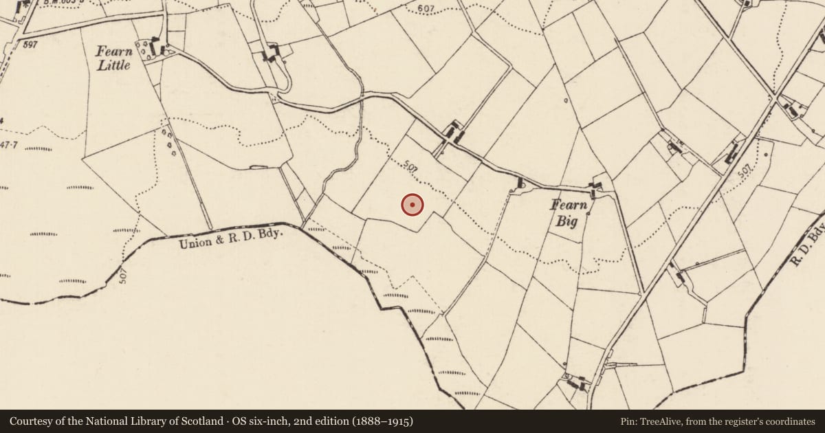 Ordnance Survey six-inch map, 2nd edition (1888–1915) covering the location of Enclosure, Fearn, County Donegal, with a pin at the register's coordinates