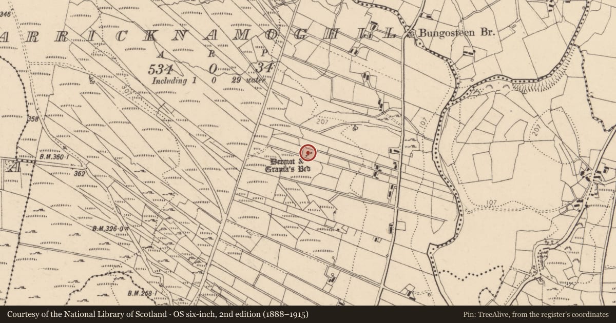 Ordnance Survey six-inch map, 2nd edition (1888–1915) covering the location of Megalithic tomb - court tomb, Carricknamoghil, County Donegal, with a pin at the register's coordinates