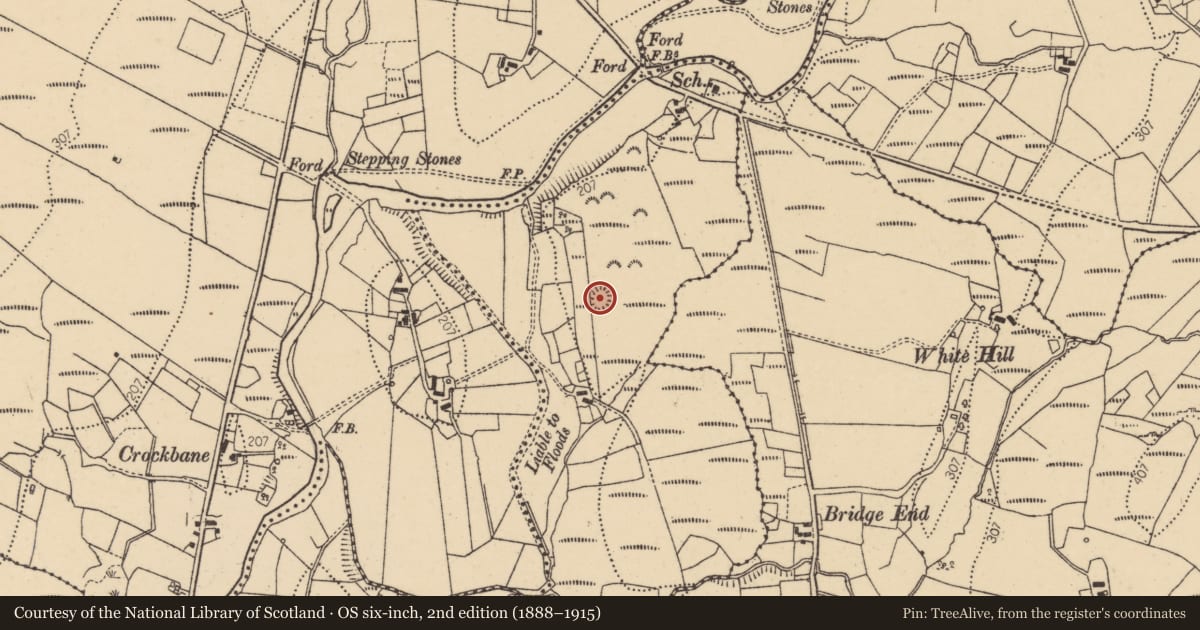 Ordnance Survey six-inch map, 2nd edition (1888–1915) covering the location of Ringfort - rath, Urbal, County Donegal, with a pin at the register's coordinates