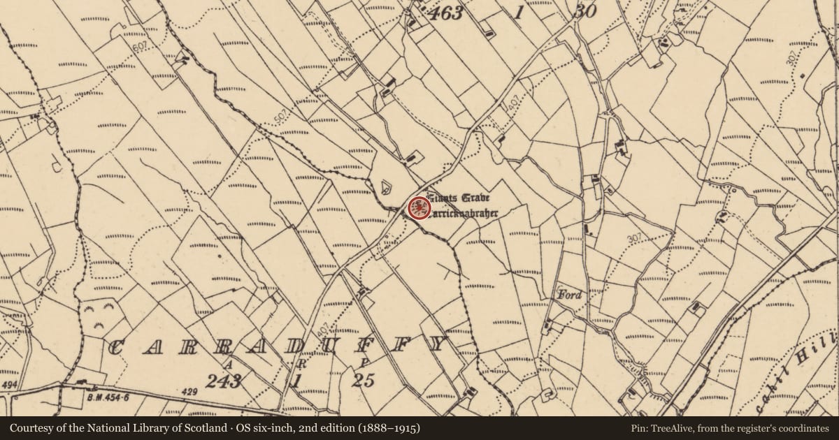 Ordnance Survey six-inch map, 2nd edition (1888–1915) covering the location of Megalithic tomb - court tomb, Killin, County Donegal, with a pin at the register's coordinates