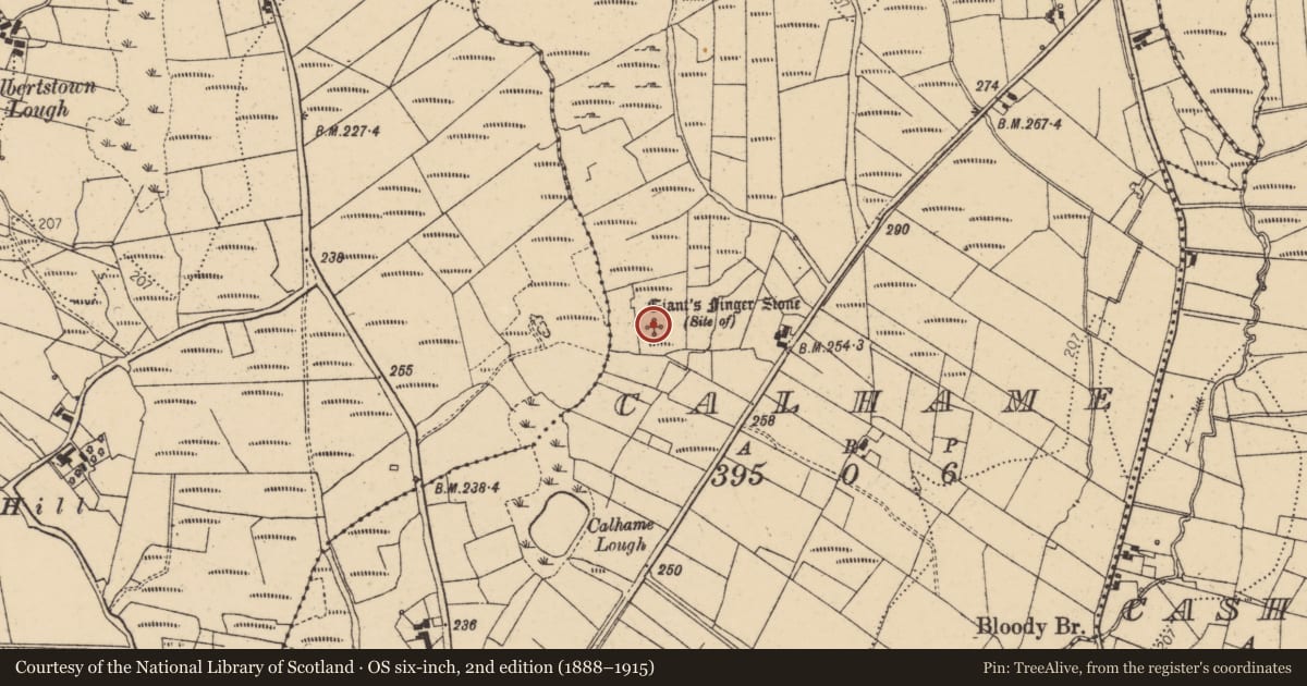 Ordnance Survey six-inch map, 2nd edition (1888–1915) covering the location of Standing stone, Calhaem (TC Dún Cionnaola), County Donegal, with a pin at the register's coordinates