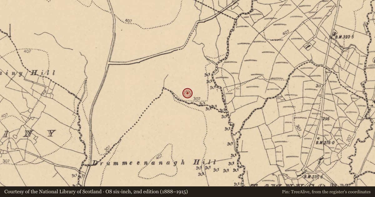 Ordnance Survey six-inch map, 2nd edition (1888–1915) covering the location of Ringfort - rath, Tievedooly, County Donegal, with a pin at the register's coordinates