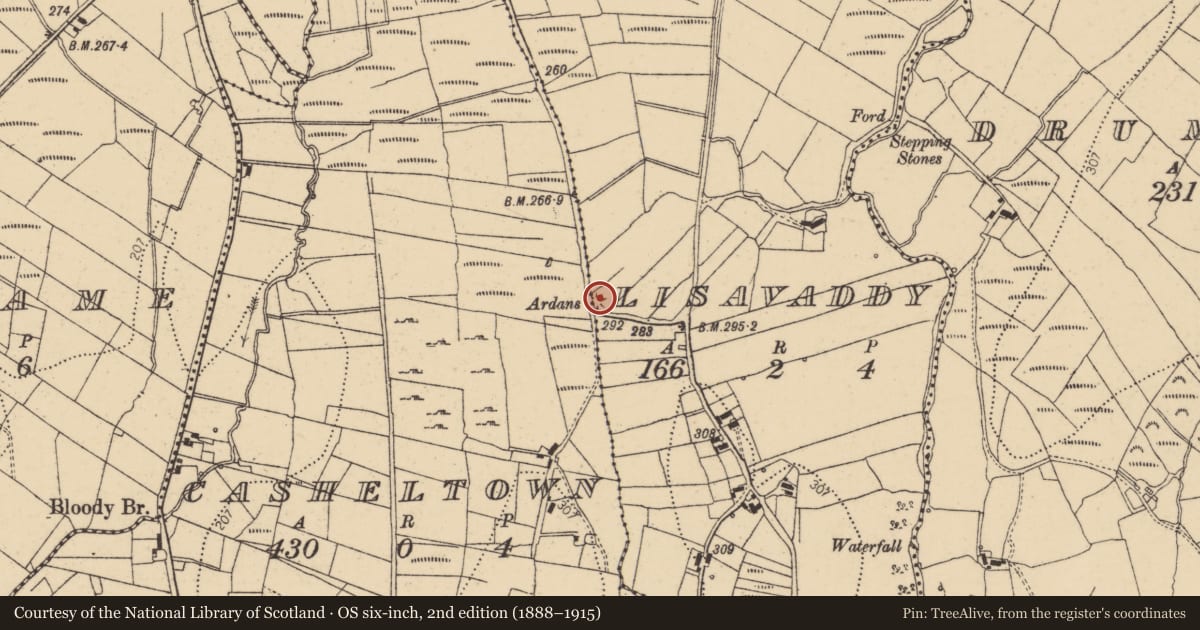 Ordnance Survey six-inch map, 2nd edition (1888–1915) covering the location of Enclosure, Casheltown, Lisavaddy, County Donegal, with a pin at the register's coordinates
