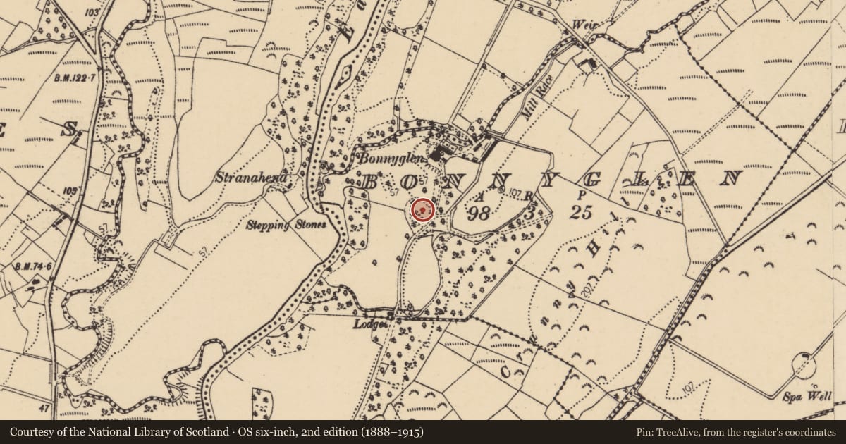 Ordnance Survey six-inch map, 2nd edition (1888–1915) covering the location of Ringfort - unclassified, Bonnyglen, County Donegal, with a pin at the register's coordinates