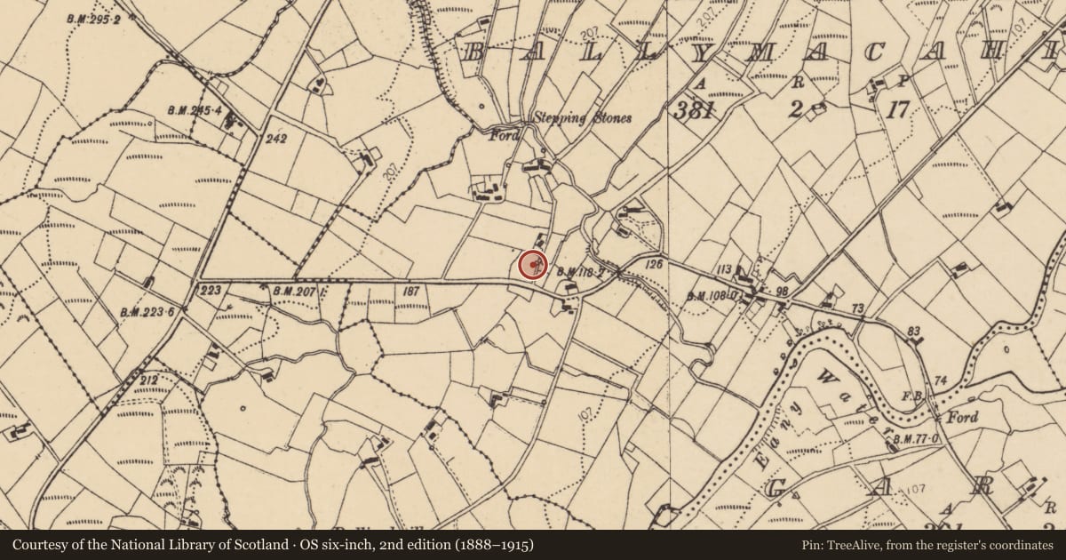 Ordnance Survey six-inch map, 2nd edition (1888–1915) covering the location of Ritual site - holy well, Ballymacahil, County Donegal, with a pin at the register's coordinates