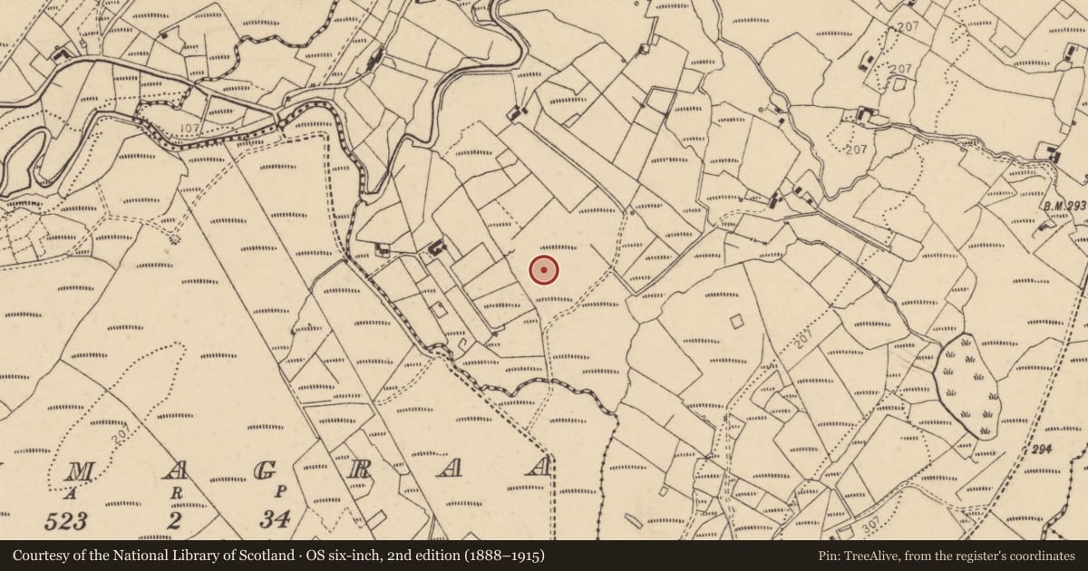 Ordnance Survey six-inch map, 2nd edition (1888–1915) covering the location of Ringfort - cashel, Sallows, County Donegal, with a pin at the register's coordinates