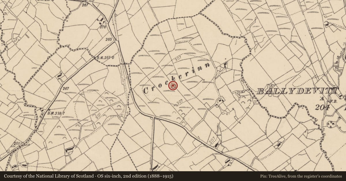 Ordnance Survey six-inch map, 2nd edition (1888–1915) covering the location of Ringfort - rath, Ballydevitt, County Donegal, with a pin at the register's coordinates