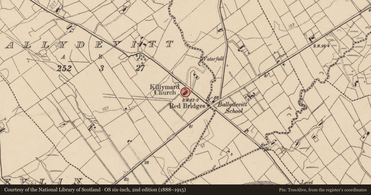 Ordnance Survey six-inch map, 2nd edition (1888–1915) covering the location of Stone head, Ballydevitt, County Donegal, with a pin at the register's coordinates