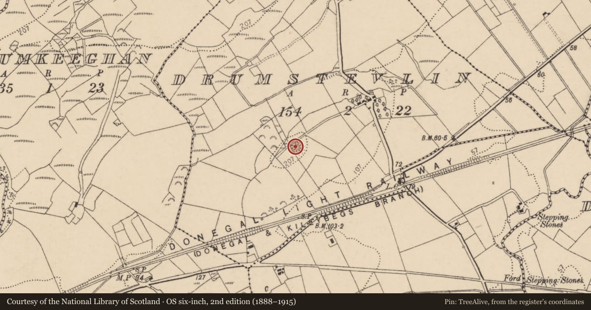 Ordnance Survey six-inch map, 2nd edition (1888–1915) covering the location of Ringfort - rath, Drumstevlin, County Donegal, with a pin at the register's coordinates