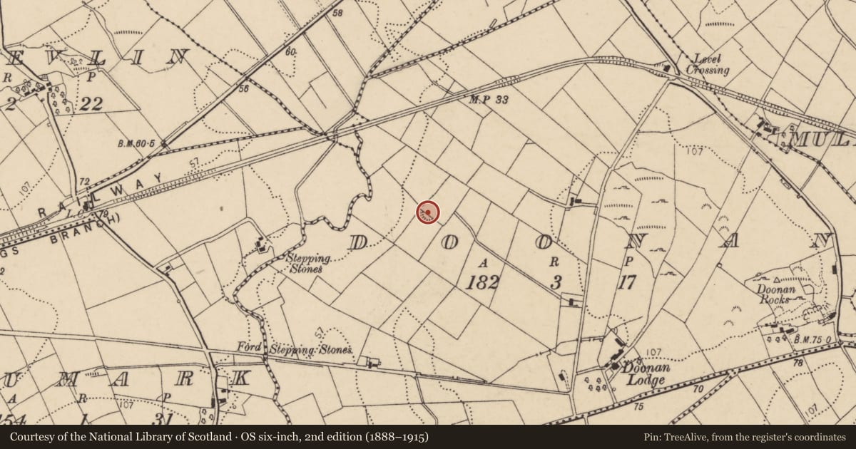 Ordnance Survey six-inch map, 2nd edition (1888–1915) covering the location of Ringfort - rath, Doonan, County Donegal, with a pin at the register's coordinates