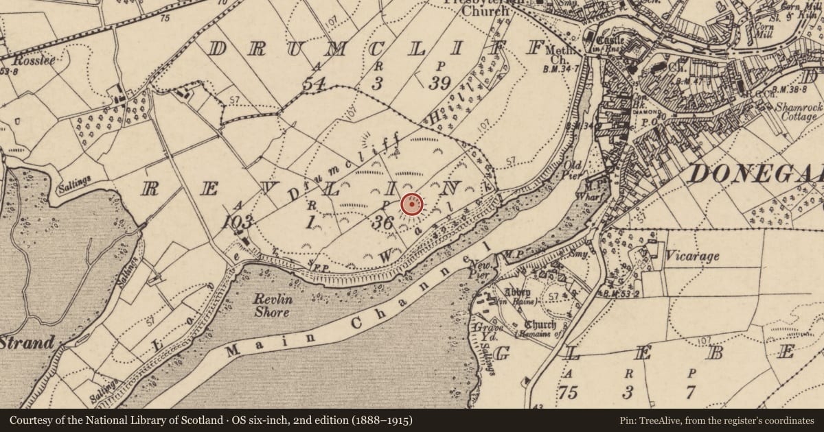 Ordnance Survey six-inch map, 2nd edition (1888–1915) covering the location of Enclosure, Revlin, County Donegal, with a pin at the register's coordinates
