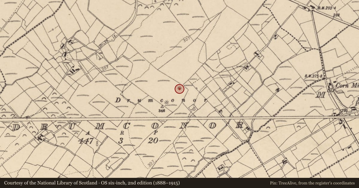 Ordnance Survey six-inch map, 2nd edition (1888–1915) covering the location of Barrow - ring-barrow, Drumconor, County Donegal, with a pin at the register's coordinates