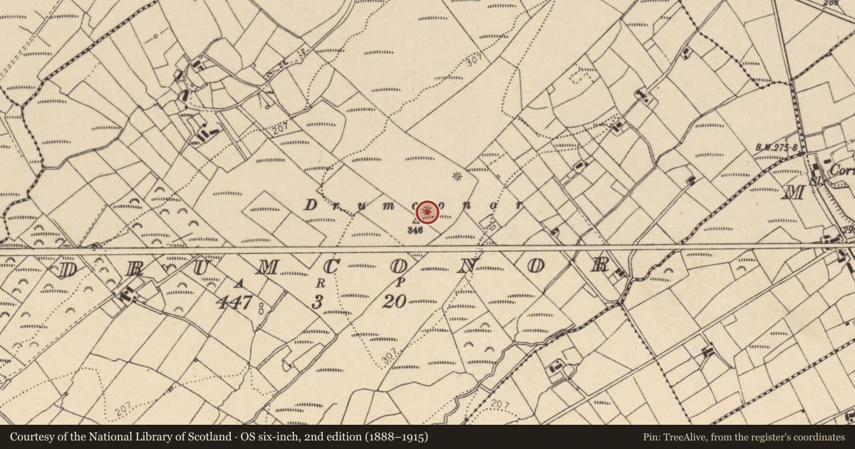 Ordnance Survey six-inch map, 2nd edition (1888–1915) covering the location of Barrow - ring-barrow, Drumconor, County Donegal, with a pin at the register's coordinates