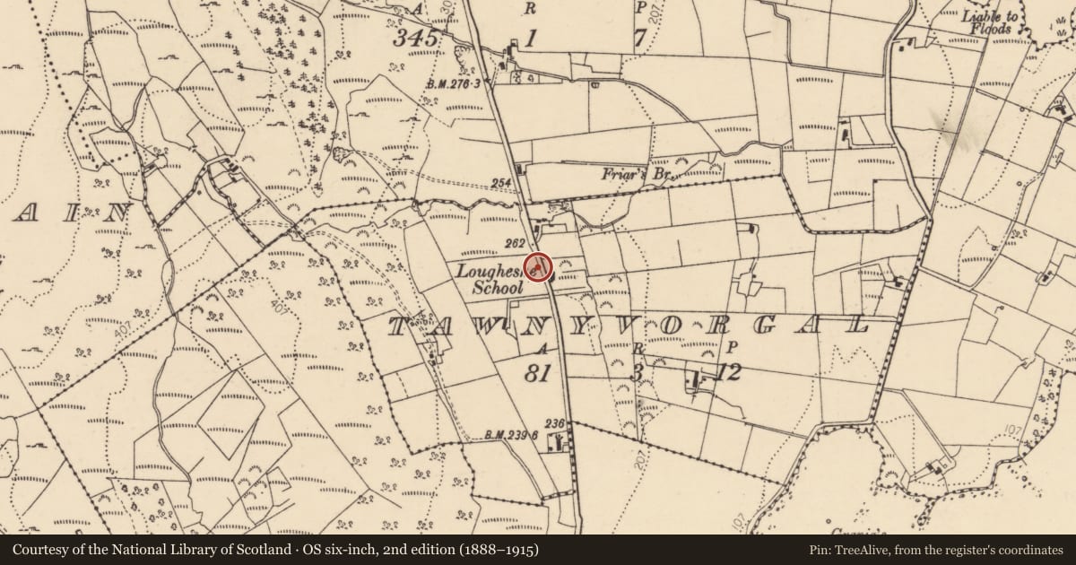 Ordnance Survey six-inch map, 2nd edition (1888–1915) covering the location of Megalithic tomb - unclassified, Tawnyvorgal, County Donegal, with a pin at the register's coordinates